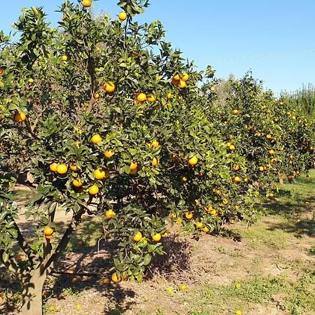 Salento Con Piscina E Orto *